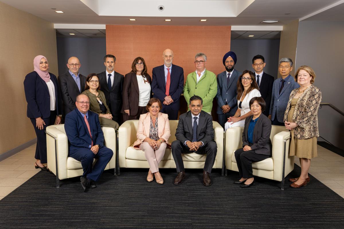 IESBA board