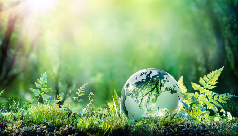 green globe on ground in green, lush backdrop