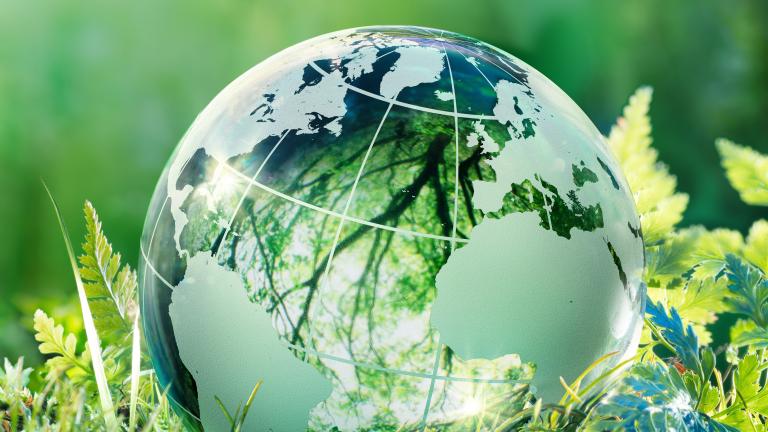 IESBA Sustainability Hero