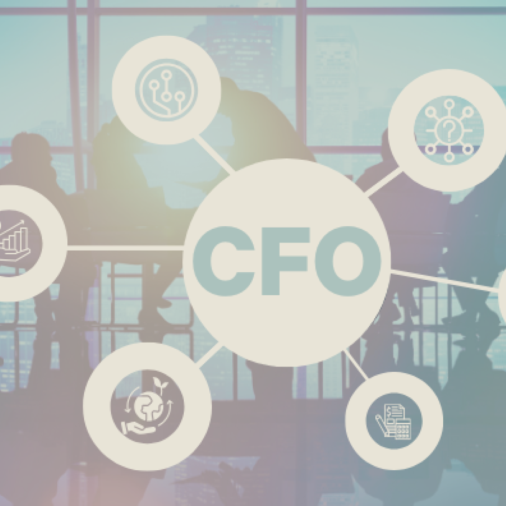 Role of CFO Banner 2