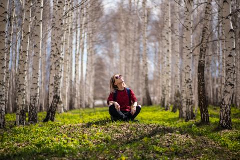 Person sitting on forest floor