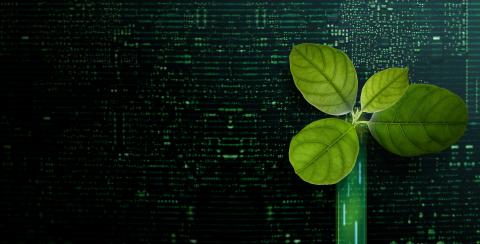 A leafy plant against a green, digital-themed background