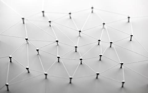 An interconnected web of metal wire anchored to small screws