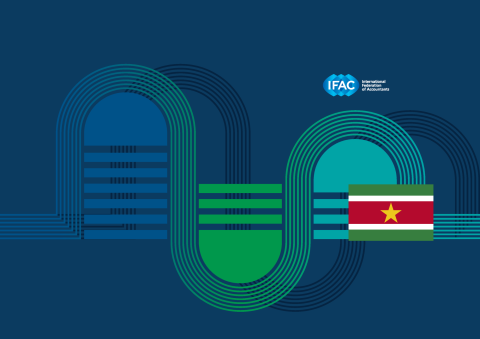 Suriname Flag and PAO Strategic Planning Toolkit